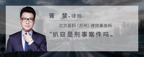 扒窃是刑事案件吗