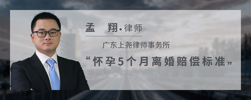 怀孕5个月离婚赔偿标准