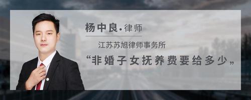 非婚子女抚养费要给多少