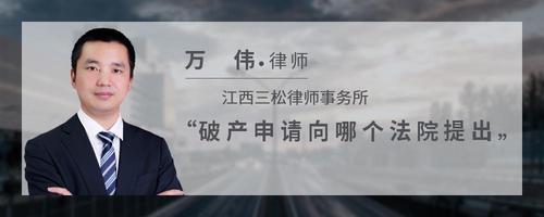 破产申请向哪个法院提出