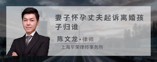 妻子怀孕丈夫起诉离婚孩子归谁