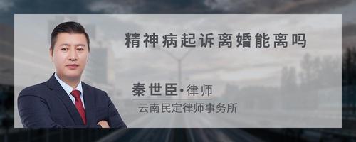 精神病起诉离婚能离吗?