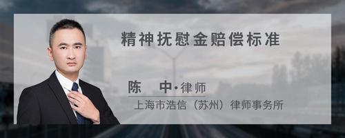 精神抚慰金赔偿标准?