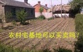 私人宅基地可以买卖吗