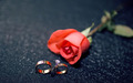 虚报结婚年龄结婚如何解决