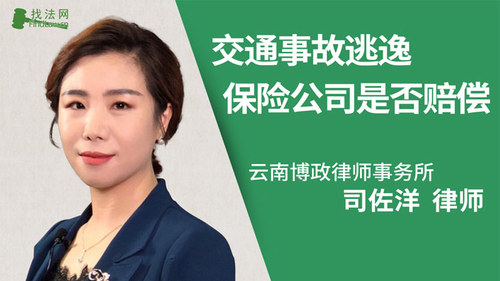 交通事故逃逸保险公司是否赔偿
