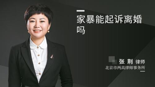 家暴能起诉离婚吗