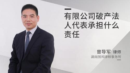 有限公司破产法人代表承担什么责任