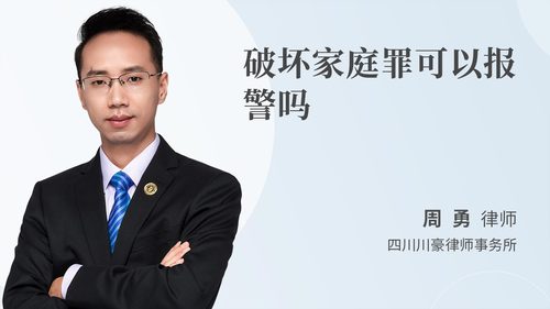 破坏家庭罪可以报警吗