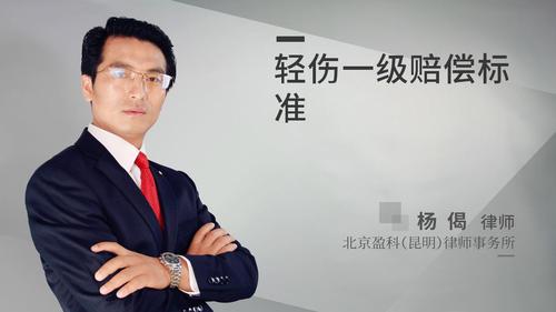 轻伤一级赔偿标准