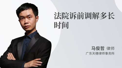 法院诉前调解多长时间