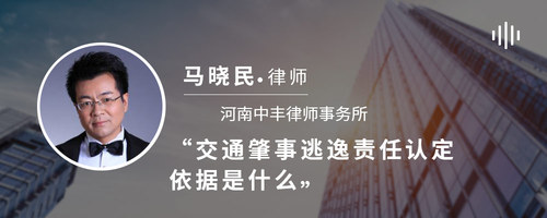 交通肇事逃逸责任认定依据是什么