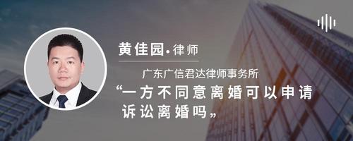 一方不同意离婚可以申请诉讼离婚吗