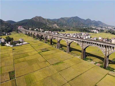 土地所有权属于谁