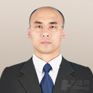 北京律师-马大维律师