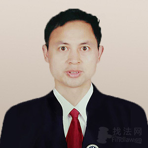 湖北律师-吴武林律师