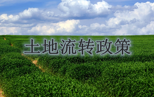 土地流转政策