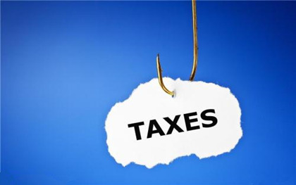 一般纳税人辅导期是什么