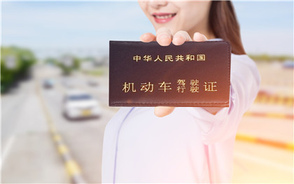 C5驾照都能买哪款车型