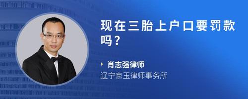 现在三胎上户口要罚款吗?