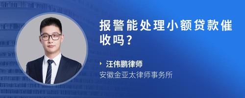 报警能处理小额贷款催收吗?