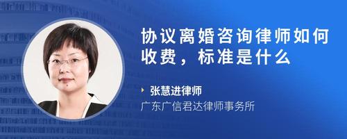 协议离婚咨询律师如何收费,标准是什么
