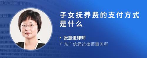 子女抚养费的支付方式是什么