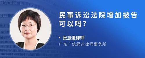 民事诉讼法院增加被告可以吗?