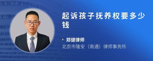 起诉孩子抚养权要多少钱
