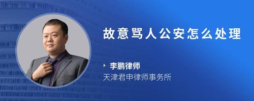 故意骂人公安怎么处理