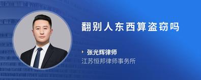翻别人东西算盗窃吗-张光辉律师