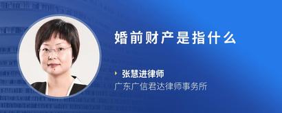 婚前财产是指什么