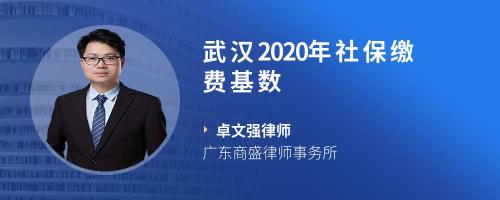 武汉2020年社保缴费基数