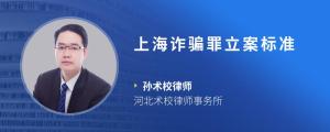 上海诈骗罪立案标准