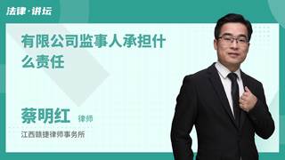 有限公司监事人承担什么责任