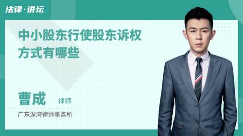 中小股东行使股东诉权方式有哪些