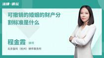 可撤销的婚姻的财产分割标准是什么