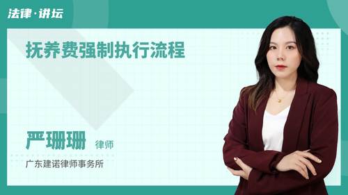 抚养费强制执行流程
