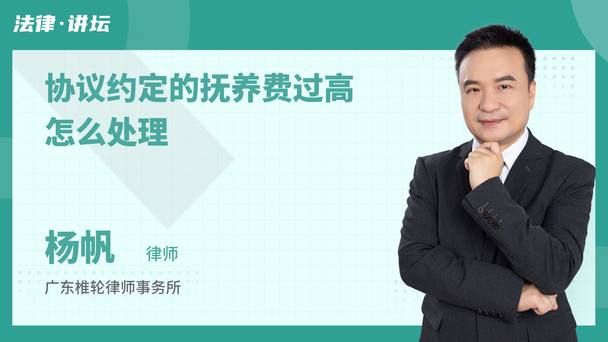 协议约定的抚养费过高怎么处理