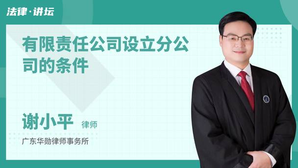 有限责任公司设立分公司的条件