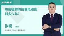 妨害植物防疫罪既遂能判多少年?