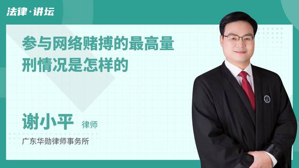 参与网络赌搏的最高量刑情况是怎样的