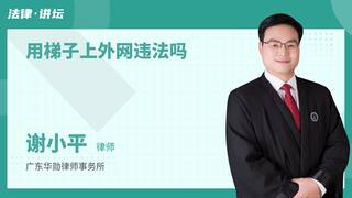 用梯子上外网违法吗