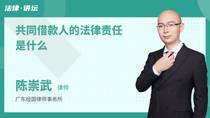 共同借款人的法律责任是什么