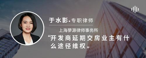开发商延期交房业主有什么途径维权