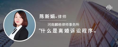 什么是离婚诉讼程序