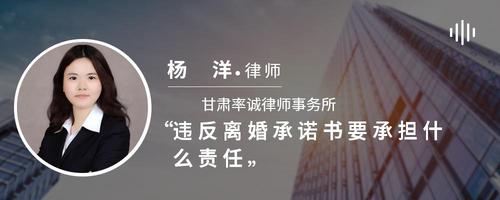 违反离婚承诺书要承担什么责任