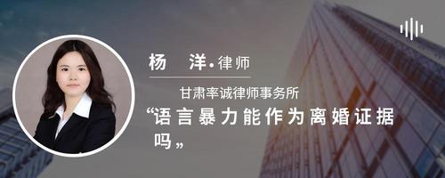 语言暴力能作为离婚证据吗