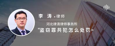 盜竊罪共犯怎么處罰-李濤律師
